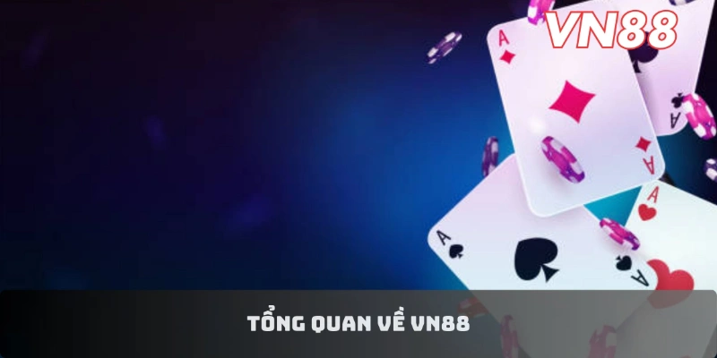 Tổng quan về VN88